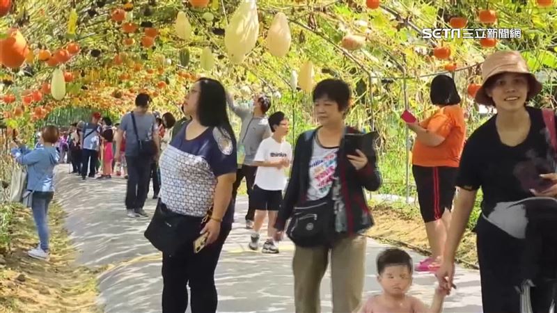 南瓜節繽紛登場！200公尺南瓜隧道擠滿人