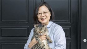蔡英文總統卸任前夕，在社群平台PO出與愛貓在官邱的合影。（圖／翻攝蔡英文IG）