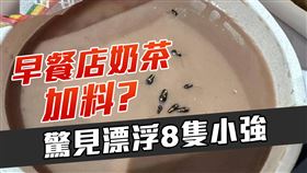 早餐店奶茶被加料？驚見漂浮黑點　竟是「8小強屍體」載浮載沉！
