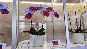 蕭副總統台南出席就職國宴中華民國第16任總統賴清德、副總統蕭美琴（前中）20日正式宣誓就職，晚間並出席在台南福爾摩沙遊艇酒店舉辦的就職國宴，蕭副總統改以一席粉色裙裝搭配珍珠項鍊亮相，打扮風格與上午就職典禮相當不同。中央社記者董俊志攝  113年5月20日