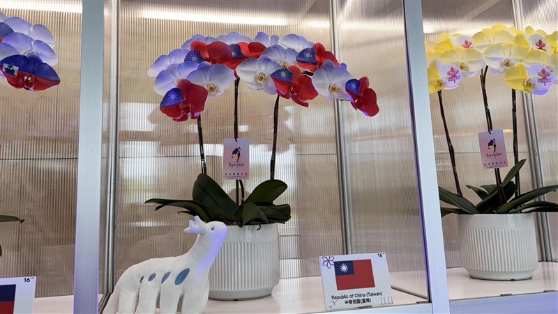 520國宴台南登場　會場布置蘭花視覺搶眼