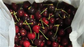 3批美國櫻桃檢出禁用農藥！2340公斤全銷毀。（圖／食藥署提供）