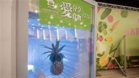 ▲這幾年38個里的「食享冰箱」已服務近10萬民眾。（圖／桃園電子報）