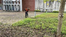 台鐵苗栗豐富站眼鏡蛇出沒  加強站區除草有民眾在苗栗豐富火車站區發現大尾眼鏡蛇，畫面上傳網路後引發討論。台鐵公司21日表示，清潔廠商已立即派員針對車站往高鐵站的通廊周邊草坪加強除草及暗溝清潔等，減少蛇類藏匿。（民眾提供）中央社記者管瑞平傳真  113年5月21日