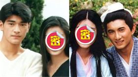 ▲楊采妮獨特的清純氣質，是當時很多人心目中的女神。（圖／翻攝自百度百科）