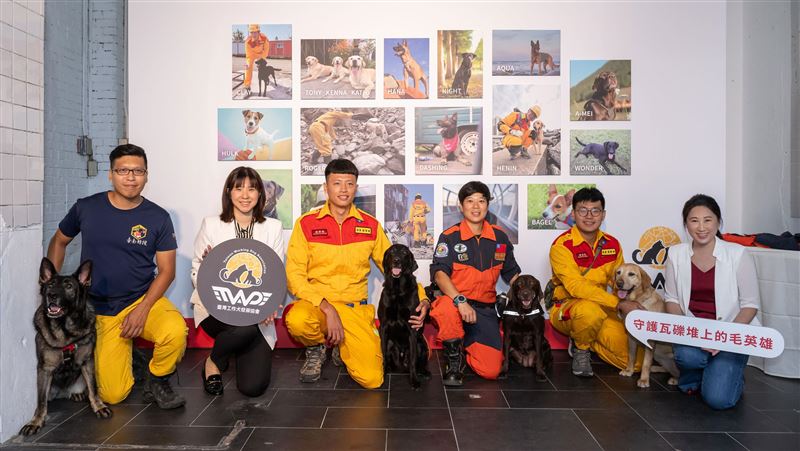 搜救犬傷亡率高　公益專案守護「毛英雄」