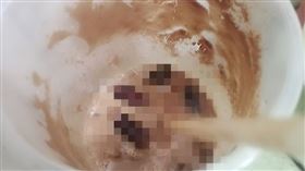 蟑螂 爆廢1公社