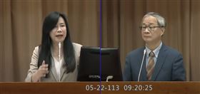 國民黨立委萬美玲質詢文化部長李遠。（圖／翻攝自國會頻道直播）