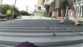 母大姊,姊弟戀,分手,保護令