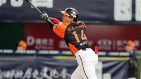 ▲統一獅外野手邱智呈。（圖／統一獅提供）