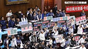 ▲0521立法院議場下午(圖／記者楊澍攝影）