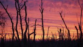 俄烏戰爭持續交火，烏克蘭頓內茨克州（Donetsk）克利什基夫卡村（Klishchiivka）二度淪陷。圖為頓內茨克州前線日出畫面。（圖／美聯社／達志影像）