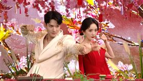 楊冪,龔俊。（圖／齊石傳播提供）