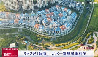 3字頭市中心百坪別墅 天水一墅省千萬房價