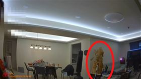 詐騙集團,關公,兄弟檔,高雄市刑大