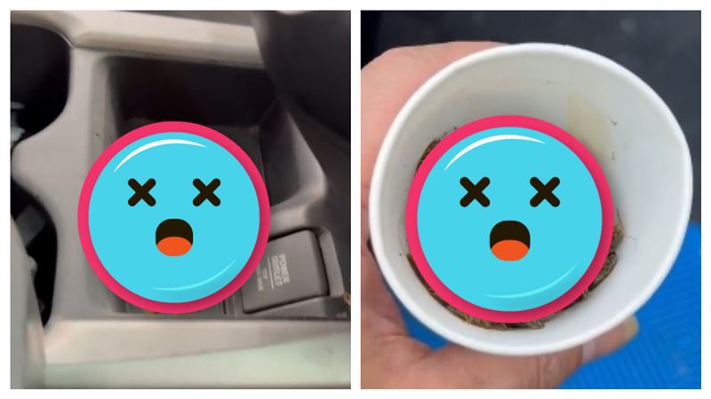 轎車全是小強！洗車業者撿出2大杯超崩潰