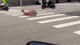 影／驚！婦突趴斑馬線、前滾翻　汽機車、公車全停等「她」