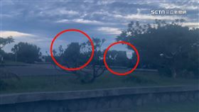 應對共軍環台軍演　雄二、雄三飛彈車進駐墾丁