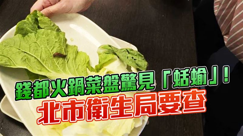 錢都菜盤驚見「活體蛞蝓」北市衛生局要查