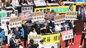 ▲0524立法院議場鍾佳濱(中)演說（圖／記者楊澍攝影）