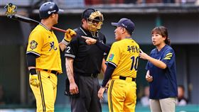 ▲中信兄弟總教練平野惠一向裁判提出質疑，統一獅先發投手羅昂有投手犯規嫌疑。（圖／中信兄弟提供）