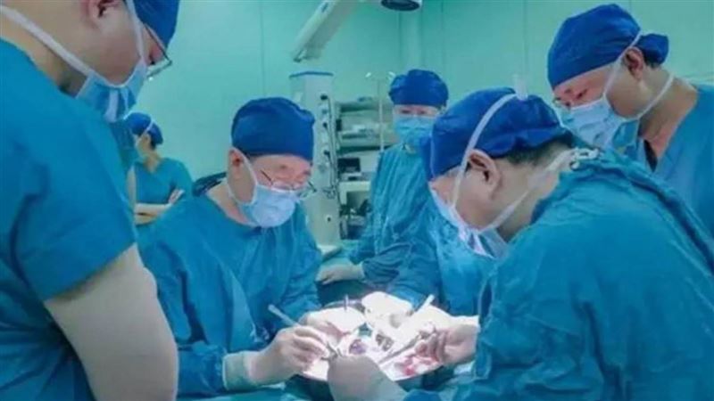 首例！肝癌男移植「豬肝」　7天能下床了