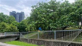 台中文心公園驚傳命案！29歲男倒臥樹叢死亡　警封鎖現場調查