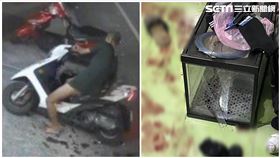 台南,魚缸,性侵,自宮,露鳥,安南區