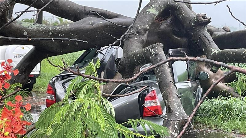新／台南雨彈狂襲！大樹倒塌轎車慘遭壓扁