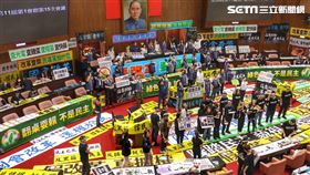 ▲0528立法院議場內國民黨團（圖／記者楊澍攝影）