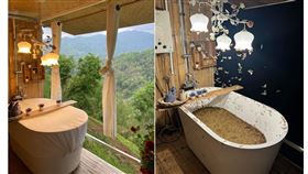 泰國,露天,浴缸,泡澡,大水蟻,蟲（圖／翻攝Dhiwa臉書）