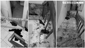 台南,歸仁,移工,砍人,死亡