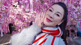 楊繡惠。（圖／翻攝自楊繡惠臉書）