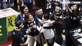 ▲0528立法院議場內邱議瑩、徐巧芯衝突（圖／記者楊澍攝影）