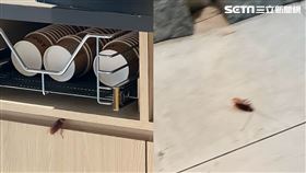 萬客什鍋,蟑螂(讀者提供)