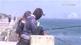 獨家／釣魚卻釣到藍色水母　小心！毒性相當眼鏡蛇