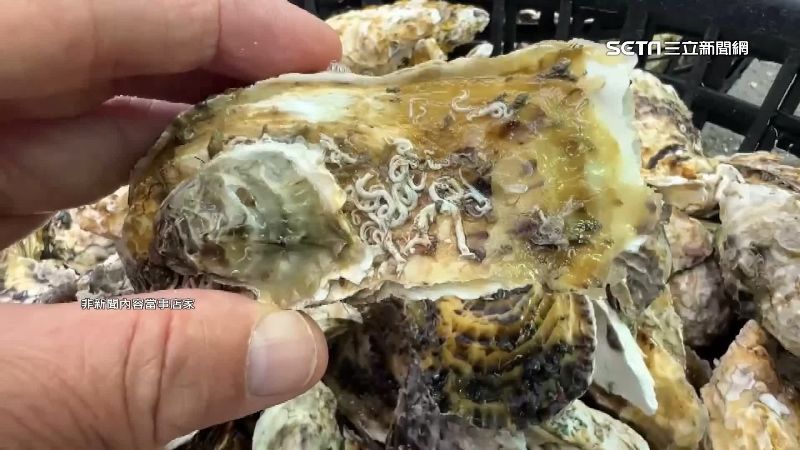 烤蚵遍布「白條狀生物」　民眾：吃完狂拉