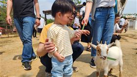 桃園埔心牧場推出消暑療癒多重好康！除了能與超萌動物互動，還加贈暢玩「室內水氣墊樂園」；參加賽金豬押寶活動，有機會抽中「泰國5天 4 夜雙人行」。連假期間上午11點前入園，門票還享半價優惠，可以說是全台灣最好康的端午出遊選擇！