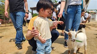 端午連假半價玩埔心牧場！再抽泰國雙人遊