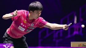 台灣桌球好手林昀儒。（圖／翻攝自WTT官網）