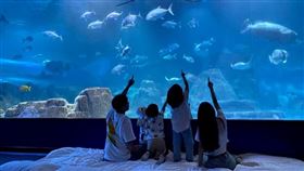 花蓮海洋公園盛大回歸！ 6月重新開幕「4大亮點」樂玩園區（圖／翻攝自台灣旅行趣）