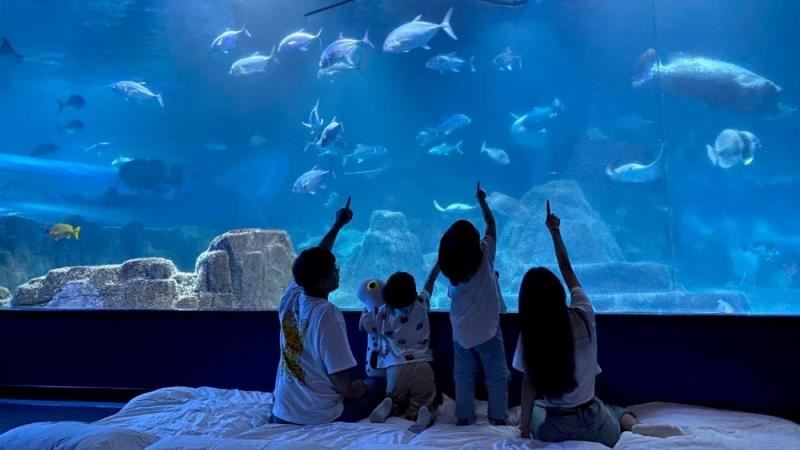 花蓮海洋公園6月重新開幕！4大亮點搶先看