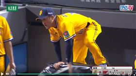 ▲中信兄弟總教練平野惠一「跨欄」。（圖／翻攝自CPBL YT）