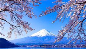 日本櫻花祭帶動赴日旅遊消費成長五成，台灣旅客數居亞洲第二。（圖／Visa提供）