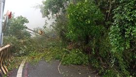 邊坡,公路,道路,高雄市,甲仙工務段,坍方