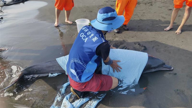 海保署增海洋保育站點　巡查員起薪近4萬