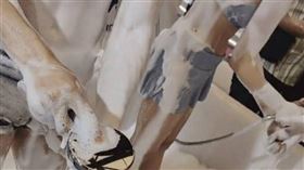 為推銷浴缸…正妹業務脫了「當眾洗澡」