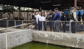 中南美洲國家瓜地馬拉警方日前到一處監獄進行囚犯移監，意外發現囚犯不僅有冷氣、冰箱、音響等各式娛樂設備，甚至還有囚犯從外面弄來了老鷹、浣熊、狐狸和鱷魚當寵物飼養，整座監獄猶如渡假村一般。瓜地馬拉總統得知消息後，已要求有關部門徹查。