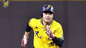 ▲中信兄弟捕手林吳晉瑋，雙盜壘戰術突然煞車形成夾殺。（圖／中信兄弟提供）