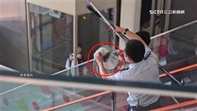 獨家／百貨公司有鳥亂飛！3名保全化身捕鳥隊抓「八哥」